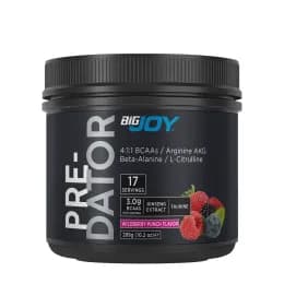 Bigjoy Predator 289g